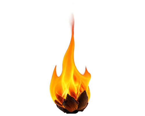 fire background,flaming torch,firespin,fire ring,pyromania,dancing flames,burning torch,fire flower,feuer,flame flower,pyrokinesis,pyromaniac,flame of fire,fiamme,firebug,enflaming,flammer,bottle fiery,fire siren,fire dance,Conceptual Art,Daily,Daily 23