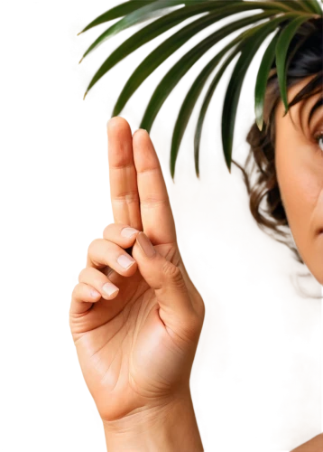 palm reading,palm leaves,palmitic,palm,afrotropic,afrotropical,palm in palm,palm leaf,on the palm,palmsource,cycas,palmone,white palm,palm of the hand,polynesian girl,palmtops,hand digital painting,image manipulation,palm fronds,photo art,Conceptual Art,Fantasy,Fantasy 23