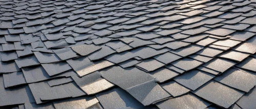 roof tiles,slate roof,roof tile,shingled,tiled roof,roof landscape,roof panels,roof plate,shingling,house roofs,shingles,house roof,tiles shapes,roofing,roofing work,tilings,herringbone,shingle,the old roof,clay tile,Conceptual Art,Daily,Daily 15