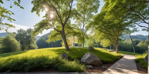 landscape designers sydney,landscape design sydney,green landscape,aaaa,landscape background,climbing garden,landscaped,virtual landscape,green forest,metasequoia,moss landscape,greenspace,sempervirens,green space,botanischer,nature garden,home landscape,greenspaces,3d rendering,sculpture park,Photography,General,Realistic