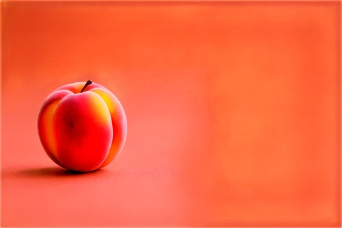 persimmon,apricot,ripe apple,red apple,manzana,nectarine,rose apple,piece of apple,apple frame,orange,carota,tomato,vineyard peach,half orange,peach color,guava,worm apple,a tomato,orangy,apple icon,Unique,3D,Panoramic