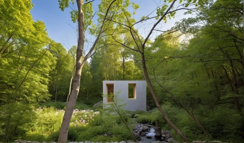 forest chapel,wassaic,house in the forest,inverted cottage,summer cottage,springhouse,forest house,summer house,summerhouse,water mill,craftsbury,small cabin,the water shed,yaddo,greenhut,wayside chapel,passivhaus,cottage,cabane,watermill,Photography,General,Realistic