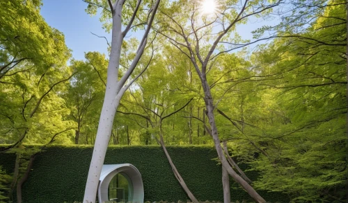 forest chapel,tree house hotel,tree house,treehouses,treehouse,mirror house,garden sculpture,canopied,arbor,pergola,forest house,inverted cottage,decordova,house in the forest,pilgrimage chapel,climbing garden,tree top path,hejduk,melnikov,cubic house,Photography,General,Realistic