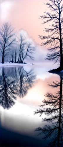 virtual landscape,multiple exposure,fir tree silhouette,treeline,leafless,dusk background,foresees,morning illusion,arbres,bare trees,waterscape,pine trees,coucher,arbre,lone tree,nature background,evening lake,volumetric,photo art,larch trees,Conceptual Art,Sci-Fi,Sci-Fi 20