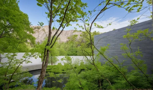 fallingwater,green trees with water,bamboo forest,virtual landscape,biosphere,metasequoia,green waterfall,ravines,green forest,background view nature,photosynth,larch forests,green landscape,maisinger gorge,narrows,gorges,larch trees,kaaterskill,green trees,affric,Photography,General,Realistic