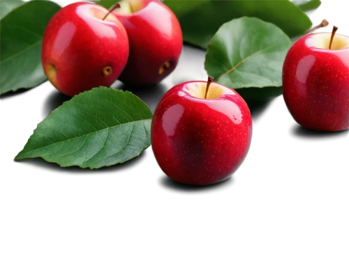 red apples,cherries,apples,red apple,red fruits,red plum,rowanberries,autumn fruits,apfel,apple pair,sweet cherries,crabapples,pluots,red fruit,autumn fruit,rose apple,cherry plum,crabapple,jewish cherries,manzana,Illustration,Japanese style,Japanese Style 17