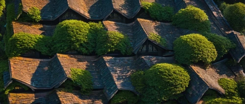 roof tiles,roof landscape,house roofs,roofs,shingled,thatch roof,thatched roof,tiled roof,rooflines,hedge,half-timbered wall,roof tile,escher village,roofline,house roof,roof domes,dovecotes,hornbeam hedge,grass roof,collonges,Illustration,Realistic Fantasy,Realistic Fantasy 12