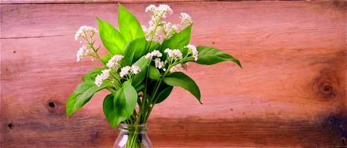 muguet,hyacinthus,tuberose,madonna lily,lily of the valley,alpinia,ornithogalum umbellatum,ornithogalum,convallaria,lily of the field,paperwhites,easter lilies,hyacinthoides,graph hyacinth,hyacinths,pink hyacinth,hyacinth,spring onion,fragrans,doves lily of the valley,Conceptual Art,Oil color,Oil Color 20