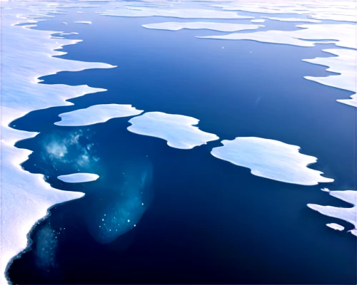 polynya,arctic ocean,ice floe,icebergs,lake baikal,ocean background,icesheets,atoll from above,ice planet,southern ocean,iceberg,antarctica,ice landscape,frozen lake,phytoplankton,ice floes,fragrant snow sea,ocean,arctic antarctica,reflection of the surface of the water,Illustration,Realistic Fantasy,Realistic Fantasy 37