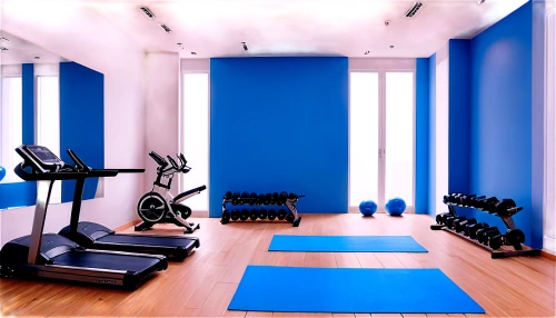 fitness room,fitness center,fitness facility,gymnastics room,leisure facility,gimnasio,blue room,sportcity,workout equipment,elitist gym,sportsclub,sportclub,gymnase,gymnasiums,aqua studio,gym,exercices,ellipticals,gyms,wall,Art,Artistic Painting,Artistic Painting 44