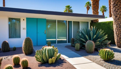 mid century house,mid century modern,blue doors,eichler,palm springs,xeriscaping,midcentury,mid century,dunes house,neutra,cacti,cactuses,blue door,tuscon,dutchman's-pipe cactus,metallic door,scottsdale,shulman,organ pipe cactus,entryways,Illustration,Retro,Retro 17