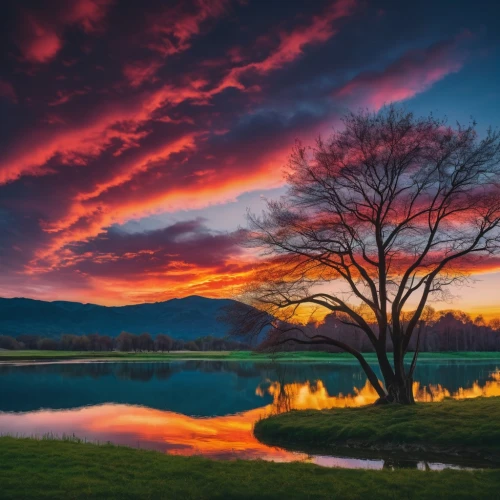 incredible sunset over the lake,red sky,splendid colors,red tree,evening lake,landscape photography,beautiful landscape,landscapes beautiful,fire on sky,nature landscape,snake river lakes,lone tree,lake of fire,burning bush,landscape nature,landscape red,new zealand,reflection in water,beautiful nature,colorful tree of life,Photography,Documentary Photography,Documentary Photography 01