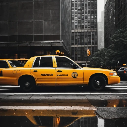 new york taxi,taxi cab,yellow taxi,taxicab,taxicabs,taxis,cabs,cabbie,cabbies,taxi,taxi sign,cabby,yellow car,sheriff car,cab,taxi stand,newyork,autolib,new york,new york streets,Conceptual Art,Sci-Fi,Sci-Fi 07