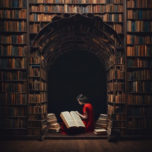 bibliophile,book wall,bookworm,book wallpaper,lectura,bookish,little girl reading,bookworms,bibliophiles,open book,books,bookspan,peruse,bookshelf,read a book,bookcase,perusing,bookseller,reading owl,reading,Photography,Documentary Photography,Documentary Photography 30