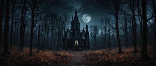 witch house,witch's house,the haunted house,halloween background,haunted house,house in the forest,haunted castle,ghost castle,halloween poster,fantasy picture,dark art,haunted cathedral,oscura,halloween wallpaper,creepy house,hauntings,the threshold of the house,moonsorrow,covens,house silhouette,Illustration,Realistic Fantasy,Realistic Fantasy 46