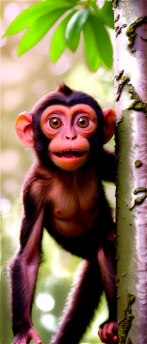 macaca,prosimian,macaco,simian,monke,palaeopropithecus,ape,mangabey,lutung,monkeying,monkey banana,monkey,uakari,propithecus,orang utan,apeman,hominick,menehune,primate,chimpanzee,Conceptual Art,Fantasy,Fantasy 04