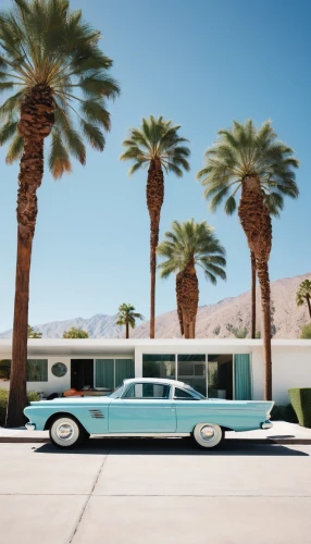 classic car and palm trees,palm springs,restored camper,belair,edsel,fleetline,teardrop camper,retro automobile,stretch limousine,mid century house,mid century modern,streamline,mobile home,airstream,retro vehicle,caddy,packard one-twenty,superbus,1959 buick,fifties,Photography,Documentary Photography,Documentary Photography 28