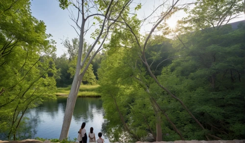 cahaba,metroparks,metropark,harpeth,riverway,monocacy,tisza,mississinewa,acequia,riverwood,riparian zone,sugarcreek,riparian,beaverdam,itasca,lobau,raven river,riverine,riverworld,isar,Photography,General,Realistic