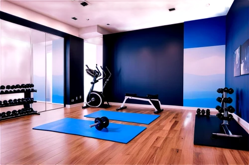 fitness room,fitness center,fitness facility,gymnastics room,technogym,workout equipment,precor,gimnasio,leisure facility,home workout,sportif,exercices,sportsclub,wellness,elitist gym,workout items,sportcity,kettlebell,powerbase,fitness coach,Conceptual Art,Fantasy,Fantasy 34