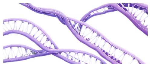 dna helix,dna,dna strand,microrna,rna,genomes,genome,epigenome,snrna,genomic,epigenetic,mtdna,biogenetic,pharmacogenomics,micrornas,gpcr,genetic code,synthases,ssrna,telomeres,Illustration,Vector,Vector 15