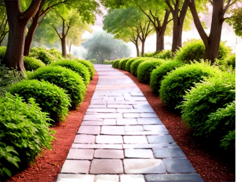 tree lined path,pathway,tree lined lane,tree lined avenue,forest path,walkway,the mystical path,pathways,tree-lined avenue,towards the garden,stone wall road,greenspace,paths,walk in a park,walkways,the path,entry path,path,tree lined,green garden,Art,Artistic Painting,Artistic Painting 25