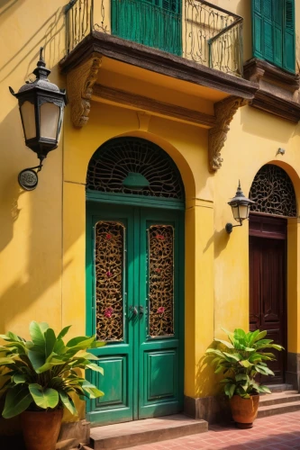 colorful facade,pondicherry,sicily window,palermo,peranakan,old havana,shutters,peranakans,wrought iron,calcutta,exterior decoration,doorkeepers,gold stucco frame,porticoes,cartagena,french quarters,balcones,naples,trinidad cuba old house,shophouses,Illustration,American Style,American Style 02