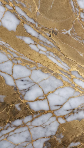 marble texture,marble pattern,marble,marbleized,veining,travertine,quartzites,natural stone,quartzite,abstract gold embossed,yellow gneiss,pegmatite,polished granite,gold stucco frame,pellicle,venus surface,stromatolite,marbling,vautrin,petrography,Photography,General,Realistic