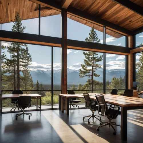 snohetta,the cabin in the mountains,bohlin,house in the mountains,forest house,interior modern design,methow,timber house,daylighting,sunroom,mountainview,house in mountains,tahoe,wooden windows,mid century house,steelcase,mid century modern,minotti,alpine style,luxury home interior,Photography,Fashion Photography,Fashion Photography 16
