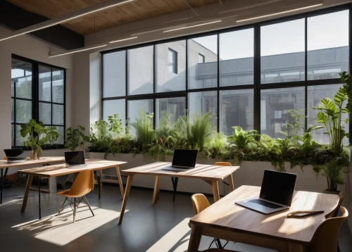 working space,modern office,bureaux,creative office,workspaces,daylighting,offices,forest workplace,coworking,study room,work space,collaboratory,officine,workstations,greenhaus,loft,desks,staffroom,gensler,meeting room,Illustration,Paper based,Paper Based 05