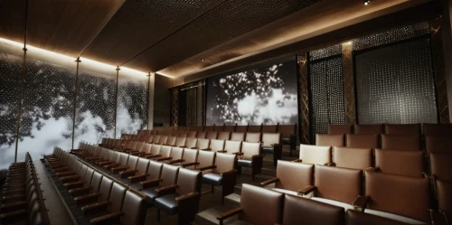auditorium,zaal,cinema,movie theater,empty theater,digital cinema,lecture room,theater curtain,movie theatre,lecture hall,cinema seat,cinematheque,auditoriums,theatre stage,performance hall,theater stage,concert hall,cinemas,theatre,cinerama,Photography,General,Cinematic