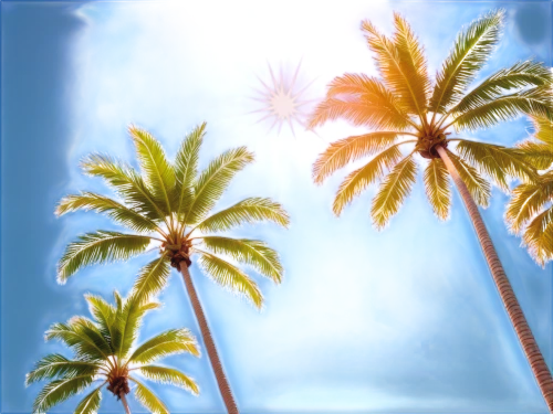 palmtrees,palm trees,palm tree vector,palms,coconut trees,palm tree,palmtree,two palms,watercolor palm trees,coconut palms,palmtops,palm fronds,palm silhouettes,palm,palm branches,palm forest,royal palms,coconut palm tree,palm field,palm tree silhouette,Illustration,Japanese style,Japanese Style 01