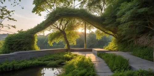 wooden bridge,scenic bridge,landscape designers sydney,weeping willow,nature wallpaper,dragon bridge,nature garden,landscape design sydney,nature background,hanging bridge,tunnel of plants,angel bridge,adventure bridge,landscape background,natural arch,background view nature,pathway,nature landscape,green landscape,bridge arch,Photography,General,Realistic