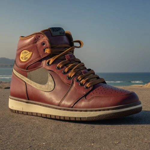 dunks,burgundy 81,chippewas,hightops,internationalist,wheats,air jordan 1,octobers,cazals,dunkers,jordan shoes,wheat,horween,brown leather shoes,shoes icon,airbases,grails,forces,airforces,rusted,Photography,General,Realistic