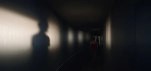 corridors,hallway,in the shadows,corridor,penumbra,girl walking away,passage,pinhole,in a shadow,passageway,hallway space,shadows,creepy doorway,hallways,long shadow,absentia,apparition,agoraphobia,shadowing,poltergeist,Photography,General,Realistic