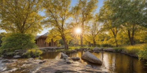 acequia,watermill,echuca,flowing creek,weeping willow,water mill,watermills,deschutes,thermal spring,jordan river,streamside,watercourse,old mill,river landscape,willows,minnehaha,sculthorpe,river bank,corkscrew willow,sunriver,Common,Common,Photography