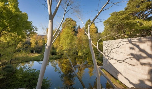 serralves,echuca,murrumbidgee,acequia,warrandyte,landscape designers sydney,mildura,maeght,gulbenkian,puckapunyal,yarra,landscape design sydney,campaspe,glenfed,riparian,riverland,molonglo,jordan river,faulconbridge,source de la sorgue,Photography,General,Realistic