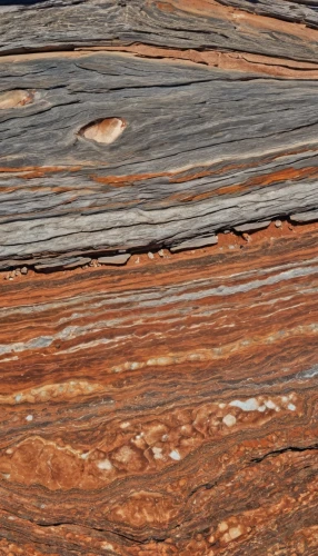 stromatolite,particleboard,wood texture,laminated wood,clasts,clintwood,geotextiles,lithostratigraphic,laminations,stratigraphy,ornamental wood,stratigraphic,teakwood,epithermal,sedimentary,dithionite,sapwood,turbidites,vitrified,ophiolites,Photography,General,Realistic