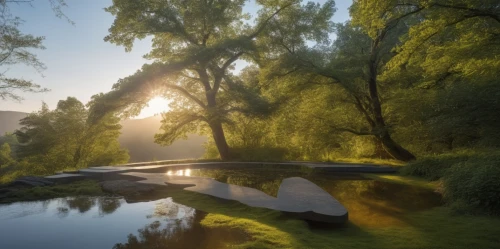 weeping willow,cryengine,riverwood,garden pond,pond,virtual landscape,aaaa,japanese garden,shader,volumetric,shaders,reflecting pool,morning light,lily pond,river landscape,willows,seclude,idyll,watermill,corkscrew willow,Photography,General,Realistic