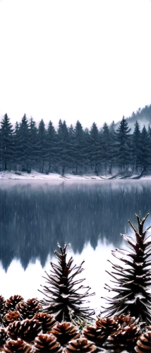 winter lake,forest lake,alpine lake,mountainlake,lake,pond,nature background,the lake,winter background,landscape background,wet lake,pine trees,mountain lake,glacial lake,waterscape,beautiful lake,high mountain lake,tarns,evening lake,fishlake,Art,Classical Oil Painting,Classical Oil Painting 34