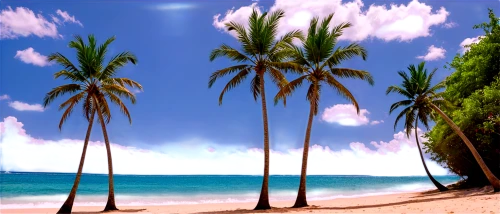 coconut trees,coconut palms,tropical beach,coconut tree,beach scenery,beach landscape,tropical sea,tropical island,cuba background,paradise beach,palmtrees,cartoon video game background,caribbean beach,dream beach,3d background,beach background,south pacific,tobago,palm trees,palm forest,Illustration,Realistic Fantasy,Realistic Fantasy 43