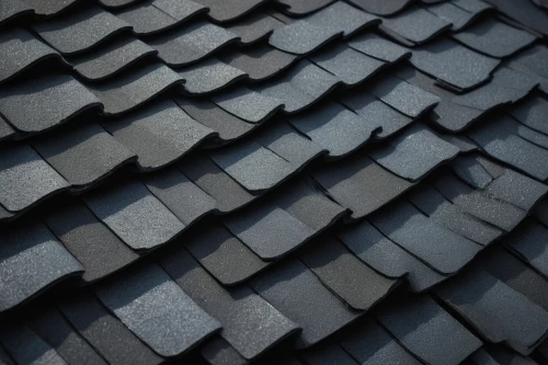 roof tiles,slate roof,roof tile,house roof,house roofs,shingled,roof landscape,tiled roof,the old roof,shingles,roofing,slates,roof plate,roof panels,thatch roof,thatch roofed hose,shingle,roofing work,roofs,roofing nails,Illustration,Realistic Fantasy,Realistic Fantasy 47