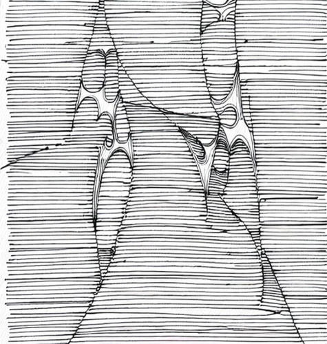 birch tree illustration,fish skeleton,formosana,vertebrae,pencil lines,neurons,line drawing,eurypterids,latifrons,frame drawing,monoplacophora,acromion,sinew,hand draw arrows,birch trees,stockfish,femurs,clothespins,splines,regiomontanus,Design Sketch,Design Sketch,Fine Line Art