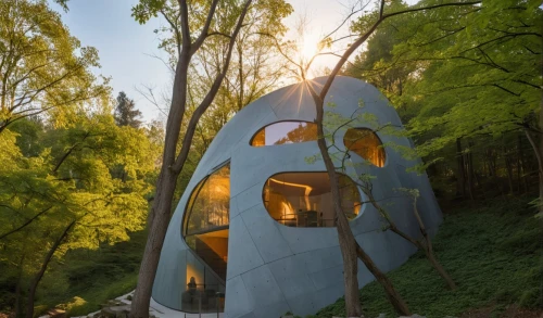 tree house hotel,electrohome,cubic house,treehouses,teardrop camper,cube house,tree house,house in the forest,mirror house,camping tipi,treehouse,wigwam,inverted cottage,insect house,earthship,forest house,oursler,pelecypods,tepee,wigwams,Photography,General,Realistic