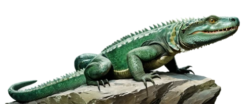 basiliscus,emerald lizard,dicynodon,iguanidae,phytosaurs,synapsid,dicynodonts,green iguana,basilisks,castoreum,eastern water dragon,dromaeosaurs,albertosaurus,agamid,green crested lizard,tuatara,futalognkosaurus,iguana,compsognathus,atractaspis,Conceptual Art,Fantasy,Fantasy 05