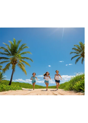erreway,seychellois,vacationers,rainbow background,beit,vacationer,pantropical,cuba background,summer background,paradisus,landscape background,tropical house,summerwind,eurythmy,png transparent,delight island,beach background,barotropic,transparent background,ishigaki island,Illustration,American Style,American Style 12