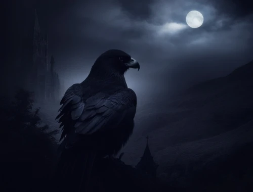nocturnal bird,black raven,king of the ravens,raven bird,nevermore,corvidae,black crow,dark angel,mountain jackdaw,raven,calling raven,ravenloft,nightstalker,night bird,ravens,black vulture,jackdaw,nightwatchman,ealdwulf,birds of prey-night,Illustration,Realistic Fantasy,Realistic Fantasy 46