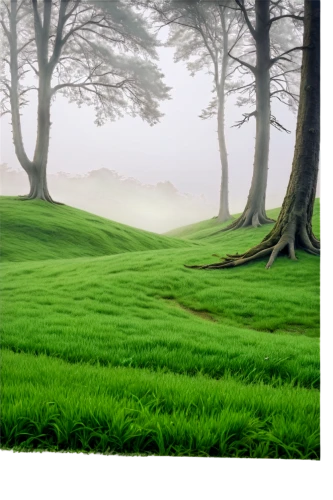 green landscape,landscape background,background vector,green wallpaper,golf course background,cartoon video game background,green forest,green fields,green background,nature background,tea field,green grass,green meadow,tea plantation,greenness,moss landscape,ricefield,frog background,tea plantations,greengrass,Illustration,Black and White,Black and White 13