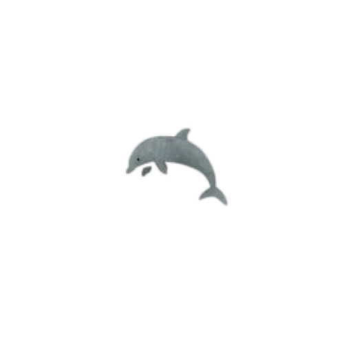 white dolphin,dolphin background,toothed whale,whale,hammerhead,tooth,tursiops,micromolar,humpback whale,orca,dolphin,dolphin teeth,llorca,dugong,balaenoptera,premolar,megalonyx,mac wallpaper,cetacean,occlusal