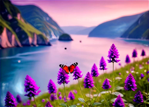 purple landscape,butterfly background,nature background,butterfly isolated,cartoon video game background,isolated butterfly,landscape background,the valley of flowers,background view nature,nature wallpaper,fairyland,fantasy landscape,fairy world,beautiful landscape,lavandula,flower background,purple wallpaper,beautiful nature,nature landscape,lavender fields,Illustration,Realistic Fantasy,Realistic Fantasy 19