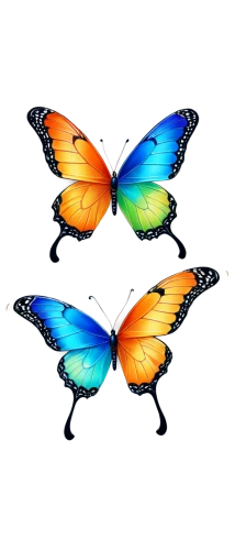 butterfly vector,butterfly background,butterfly clip art,rainbow butterflies,morphos,aurora butterfly,butterflies,butterfly wings,large aurora butterfly,ulysses butterfly,butterfly isolated,flutter,butterfly,mariposas,butterfly pattern,papillons,blue butterfly background,isolated butterfly,orange butterfly,butterflied,Illustration,Black and White,Black and White 05
